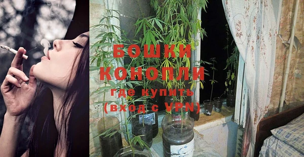 соль курить ск Гатчина