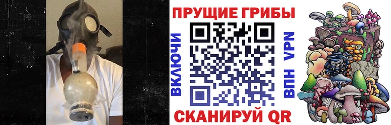 купить  сайты  Электроугли  Псилоцибиновые грибы Psilocybine cubensis 